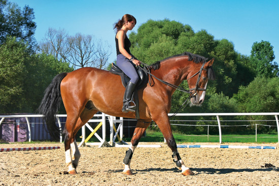 Reiten - Sommerurlaub Radstadt - Salzburger Land - Ferienhaus Pedross